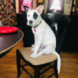 Meet your Posher, Denise